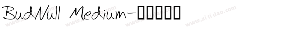 BudNull Medium字体转换